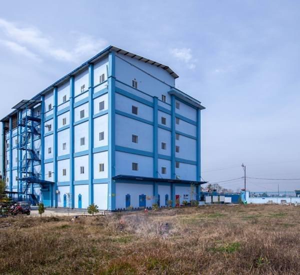Pharmaceutical Production